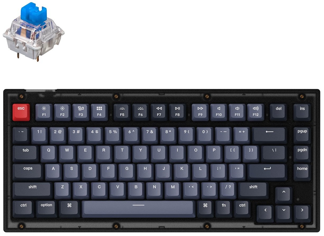 Keyboard Keychron V Key Qmk Rgb Gateron G Pro Blue Hot Swap