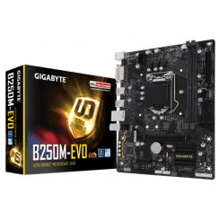 Материнська плата Gigabyte GA-B250M-EVO (s1151, Intel B250)