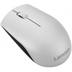 Миша Lenovo 520 Wireless (GY50T83716) Platinum/Black