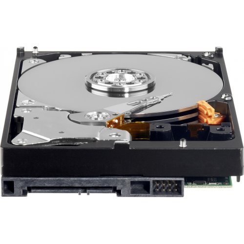 Продати Жорсткий диск Western Digital AV-GP IntelliPower 4TB 64MB 3.5" (WD40EURX) за Trade-In у інтернет-магазині Телемарт - Київ, Дніпро, Україна фото