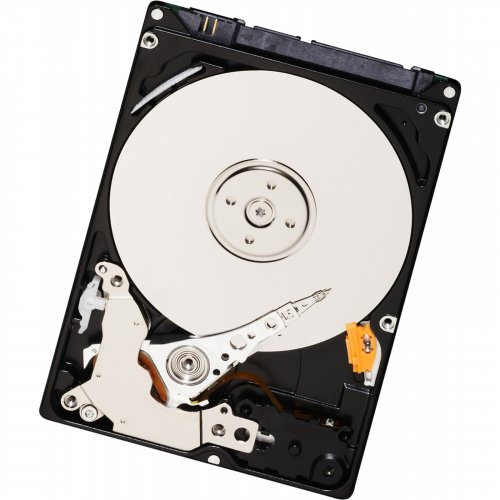 Продати Жорсткий диск Western Digital Black 320GB 16MB 2.5" (WD3200BEKX) за Trade-In у інтернет-магазині Телемарт - Київ, Дніпро, Україна фото