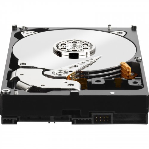 Продати Жорсткий диск Western Digital Black 4TB 64MB 3.5" (WD4003FZEX) за Trade-In у інтернет-магазині Телемарт - Київ, Дніпро, Україна фото