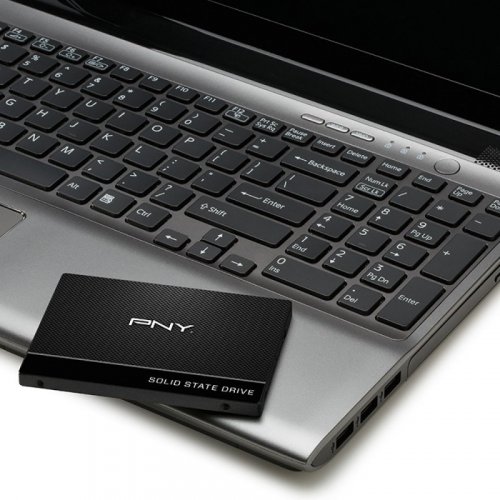 Продати SSD-диск PNY CS900 Series 2 480GB 2.5" (SSD7CS900-480-PB) за Trade-In у інтернет-магазині Телемарт - Київ, Дніпро, Україна фото