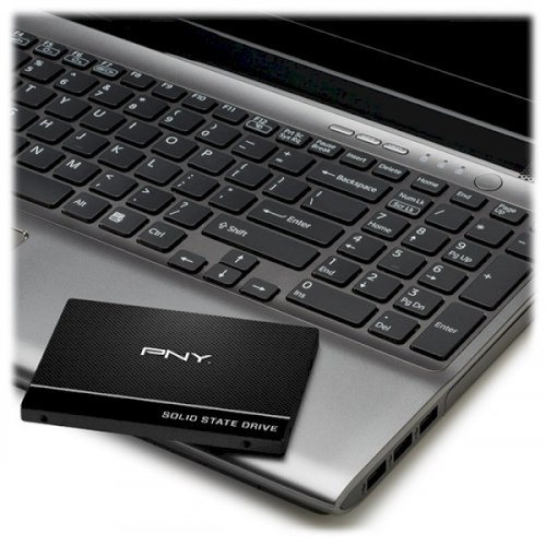 Продать SSD-диск PNY CS900 960GB 2.5" (SSD7CS900-960-PB) по Trade-In интернет-магазине Телемарт - Киев, Днепр, Украина фото