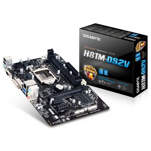Продати Материнська плата Gigabyte GA-H81M-DS2V (s1150, Intel H81) за Trade-In у інтернет-магазині Телемарт - Київ, Дніпро, Україна фото