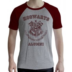 ABYstyle Harry Potter M (ABYTEX502M) Grey