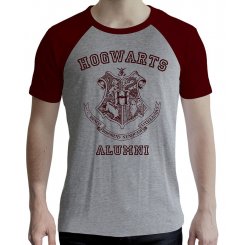 ABYstyle Harry Potter XL (ABYTEX502XL) Grey