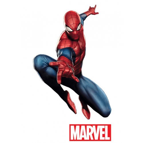 Купить Наклейки ABYstyle Marvel Spider-Man (ABYDCO438) - цена в Харькове, Киеве, Днепре, Одессе
в интернет-магазине Telemart фото