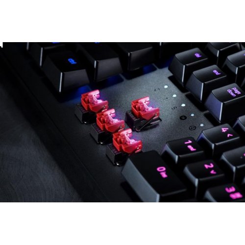 Photo Keyboard Razer Huntsman Tournament Edition Linear Optical Switches (RZ03-03080100-R3M1) Black