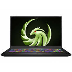 Ноутбук MSI Bravo 17 A4DDK (A4DDK-070XUA) Black