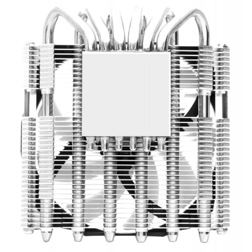 Кулер Thermalright AXP-100H Muscle купити з перевіркою сумісності: огляд, характеристики, ціна у Києві, Львові, Вінниці, Хмельницькому, Івано-Франківську, Україні | інтернет-магазин TELEMART.UA фото