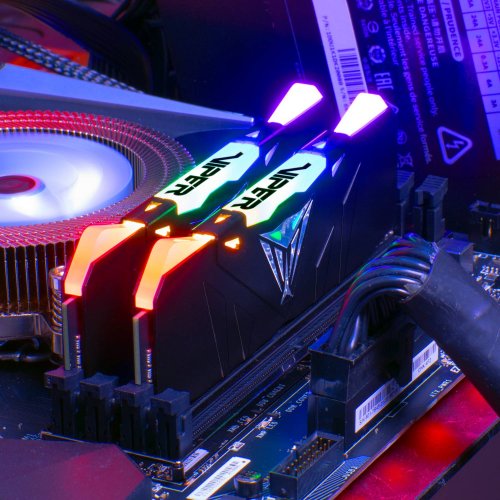 Продать ОЗУ Patriot DDR4 16GB (2x8GB) 3600Mhz Viper RGB (PVR416G360C8K) по Trade-In интернет-магазине Телемарт - Киев, Днепр, Украина фото