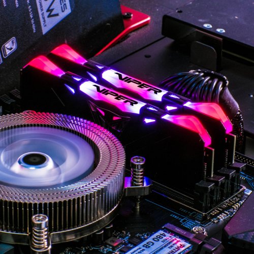 Продать ОЗУ Patriot DDR4 16GB (2x8GB) 3600Mhz Viper RGB (PVR416G360C8K) по Trade-In интернет-магазине Телемарт - Киев, Днепр, Украина фото