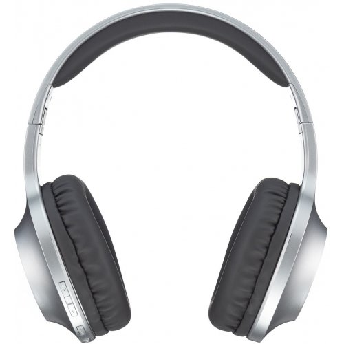 Навушники Panasonic RB-HX220BEES Grey купити в Україні | Telemart фото