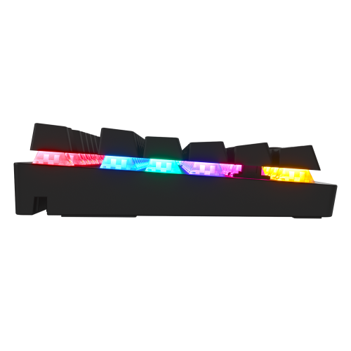 Купить Клавиатура HATOR Starfall Rainbow Origin Blue (HTK-609) Black - цена в Харькове, Киеве, Днепре, Одессе
в интернет-магазине Telemart фото