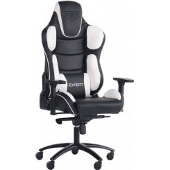 Ігрове крісло VR Racer Expert Idol (546756) Black/White