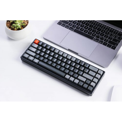 Купити Клавіатура Keychron K6 68 keys RGB Gateron Brown Hot-Swap (K6V3) Black - ціна в Києві, Львові, Вінниці, Хмельницькому, Франківську, Україні | інтернет-магазин TELEMART.UA фото