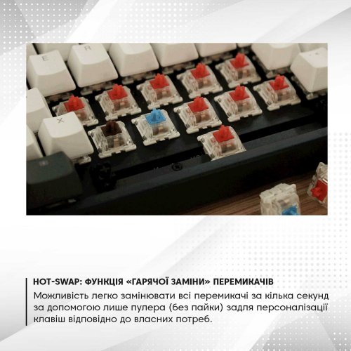 Клавіатура Keychron K2 84 keys White LED Gateron Blue Hot-Swap (K2A2H) Black купити в Україні: Київ, Львів, Хмельницький, Тернопіль, Івано-Франківськ | Низька ціна, відгуки, характеристики від TELEMART фото