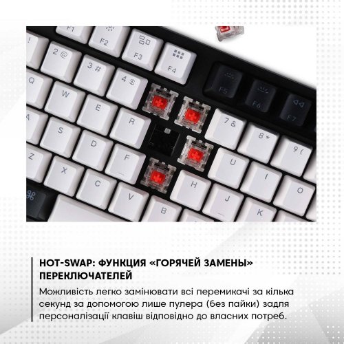 Клавіатура Keychron C1 87 keys Wired RGB Gateron Brown Hot-Swap (C1H3) Black купити в Україні: Київ, Львів, Хмельницький, Тернопіль, Івано-Франківськ | Низька ціна, відгуки, характеристики від TELEMART фото