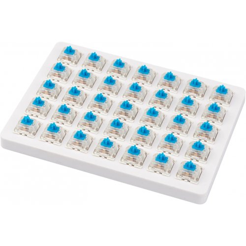 

Keychron Gateron Blue Switch with Holder 35 pcs Set (Z62_KEYCHRON)