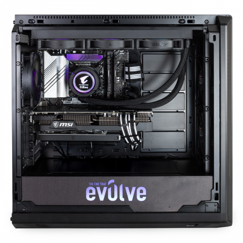 

Ультра ПК EVOLVE UltraPart Gold 6B (EVUP-G6Bi1290KN308Ti-32S1TBk) Black