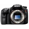 Фото Цифровые фотоаппараты Sony Alpha SLT-A65 Body