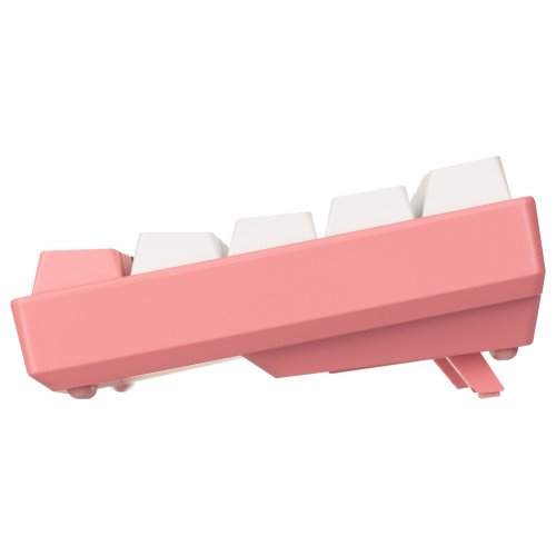Купить Клавиатура AKKO 3061 Sakura R2 Gateron Pink (A3061_S_GP) Pink - цена в Харькове, Киеве, Днепре, Одессе
в интернет-магазине Telemart фото