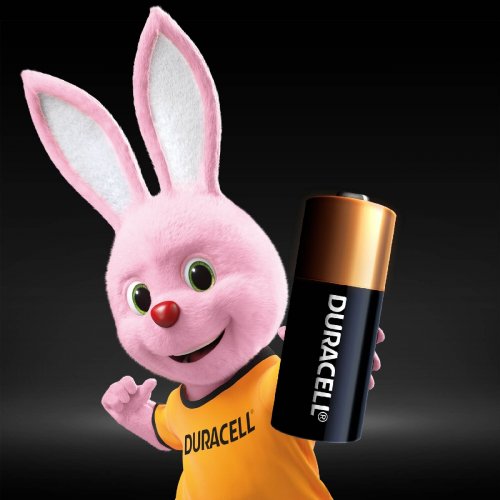 Батарейки Duracell MN21 BLN 01x10 2 шт. (5007812) купить в Украине | Telemart фото