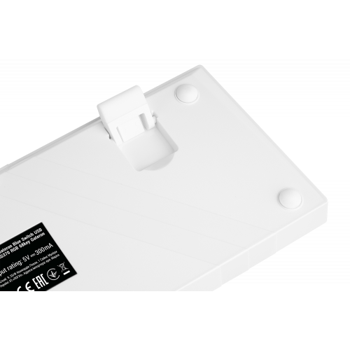 Купити Клавіатура 2E Gaming KG370 RGB Gateron Blue Switch (2E-KG370UWT-BL) White - ціна в Києві, Львові, Вінниці, Хмельницькому, Франківську, Україні | інтернет-магазин TELEMART.UA фото
