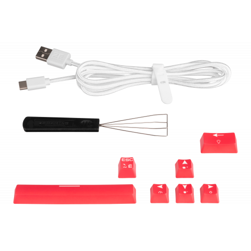 Купити Клавіатура 2E Gaming KG370 RGB Gateron Blue Switch (2E-KG370UWT-BL) White - ціна в Києві, Львові, Вінниці, Хмельницькому, Франківську, Україні | інтернет-магазин TELEMART.UA фото