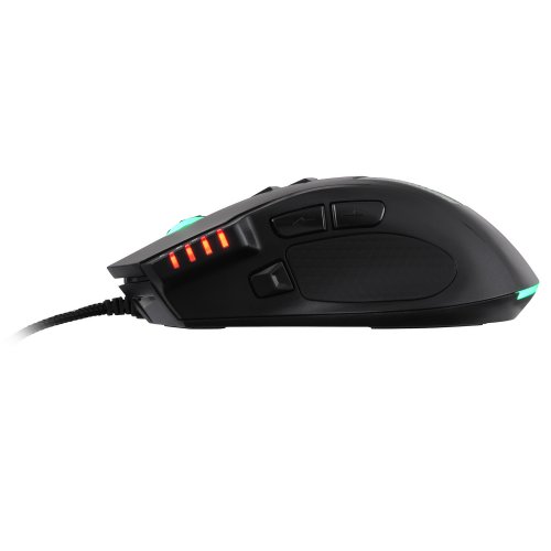 Купити Миша 2E Gaming MG335 RGB (2E-MG335UB) Black - ціна в Києві, Львові, Вінниці, Хмельницькому, Франківську, Україні | інтернет-магазин TELEMART.UA фото