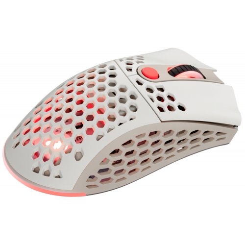 Купити Миша 2E Gaming HyperSpeed Pro WL RGB (2E-MGHSPR-WL-WT) Retro White - ціна в Києві, Львові, Вінниці, Хмельницькому, Франківську, Україні | інтернет-магазин TELEMART.UA фото