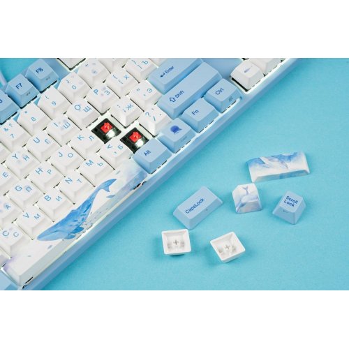 Купити Клавіатура Varmilo VEA87 Sea Melody Cherry Mx Silent Red (A23A038A6A1A06A033) Grey/Blue - ціна в Києві, Львові, Вінниці, Хмельницькому, Франківську, Україні | інтернет-магазин TELEMART.UA фото