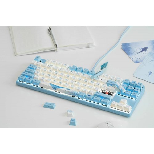 Купити Клавіатура Varmilo VEA87 Sea Melody Cherry Mx Silent Red (A23A038A6A1A06A033) Grey/Blue - ціна в Києві, Львові, Вінниці, Хмельницькому, Франківську, Україні | інтернет-магазин TELEMART.UA фото