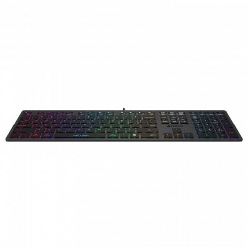 Photo Keyboard A4Tech Fstyler FX60 Neon Backlit Grey