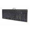 Photo Keyboard A4Tech Fstyler FX60H White Backlit Grey