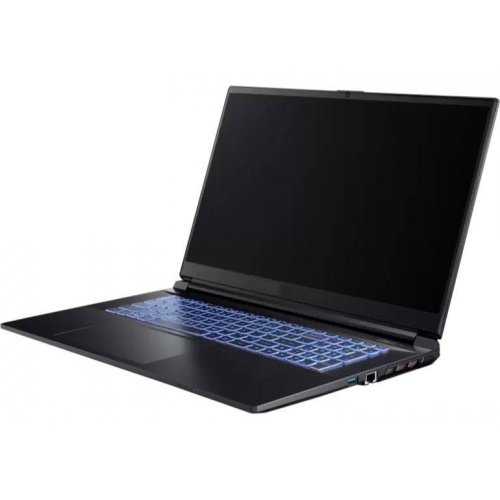 Продать Ноутбук Dream Machines RG3050TI-17 (RG3050TI-17UA36NL) Black по Trade-In интернет-магазине Телемарт - Киев, Днепр, Украина фото