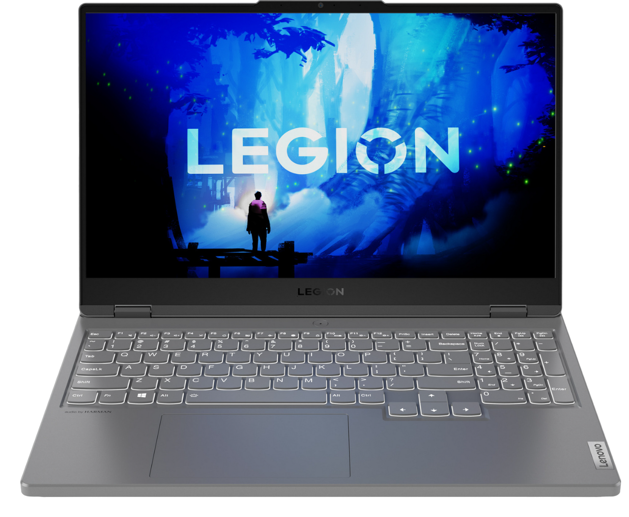 Купить Ноутбук Lenovo Legion 5 15IAH7H (82RB00QERA) Storm Grey - цена в ...