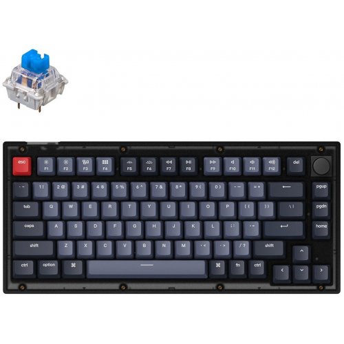 Купить Клавиатура Keychron V1 84 Key QMK RGB Gateron G PRO Blue Hot-Swap Knob (V1C2) Frosted Black - цена в Харькове, Киеве, Днепре, Одессе
в интернет-магазине Telemart фото