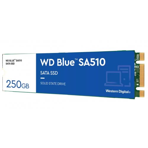 Продать SSD-диск Western Digital Blue SA510 250GB M.2 (2280 SATA) (WDS250G3B0B) по Trade-In интернет-магазине Телемарт - Киев, Днепр, Украина фото