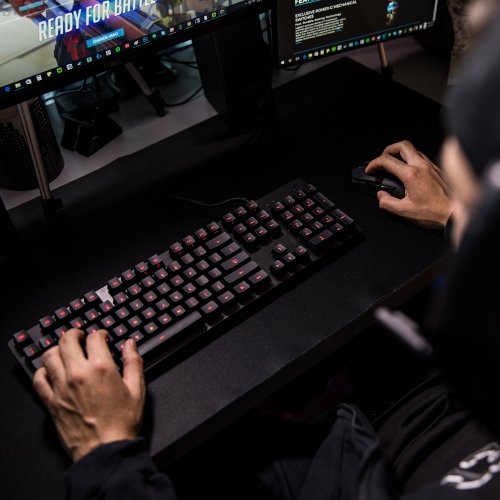 Купити Клавіатура Logitech G413 Mechanical Romer-G Tactile (920-008310) Carbon - ціна в Києві, Львові, Вінниці, Хмельницькому, Франківську, Україні | інтернет-магазин TELEMART.UA фото