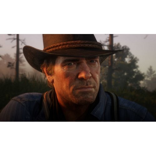 Build a PC for Red Dead Redemption 2 (PS4) Blu-ray (5026555423052) with  compatibility check and price analysis