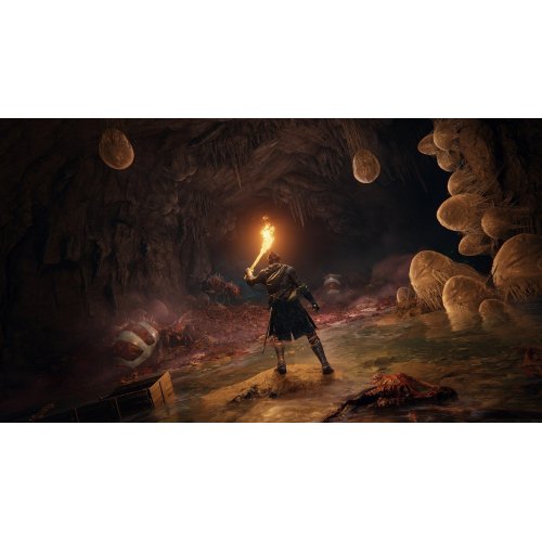 Купити Гра Elden Ring (PS5) Blu-ray (3391892021660) - ціна в Києві, Львові, Вінниці, Хмельницькому, Франківську, Україні | інтернет-магазин TELEMART.UA фото