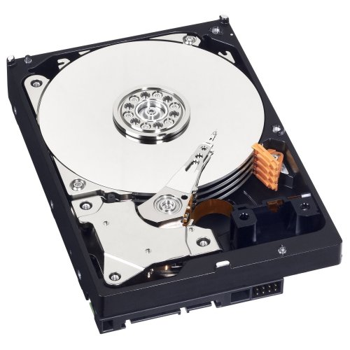 Продати Жорсткий диск Western Digital Blue Mobile 1TB 16MB 2.5" (WD10SPCX) за Trade-In у інтернет-магазині Телемарт - Київ, Дніпро, Україна фото