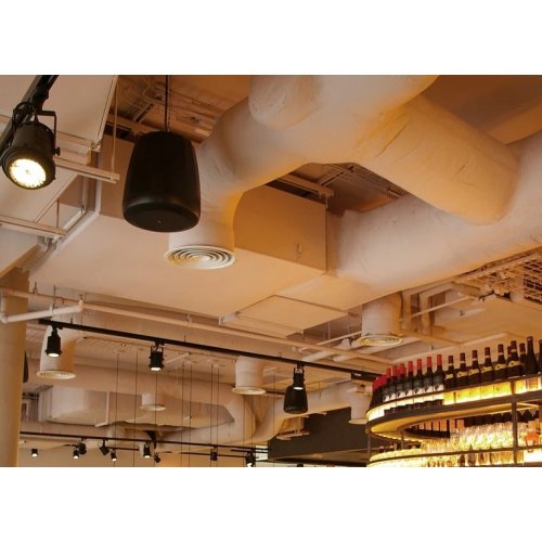 Акустична система JBL Control 60PS/T (C60PS/T) Black купити в Україні: Київ, Львів, Хмельницький, Тернопіль, Івано-Франківськ | Низька ціна, відгуки, характеристики від TELEMART фото