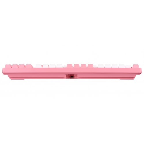 Фото Клавиатура AKKO World Tour-Tokyo R2 RGB TTC Brother Key switch (6925758614047) Pink
