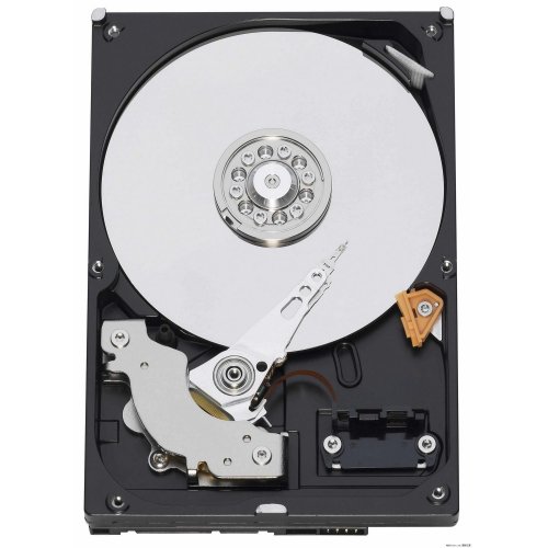 Продать Жесткий диск Western Digital Caviar Green 1TB 64MB 5400RPM 3.5" (WD10EARS) по Trade-In интернет-магазине Телемарт - Киев, Днепр, Украина фото
