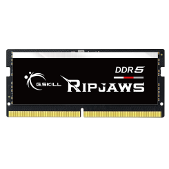 ОЗУ G.Skill SODIMM DDR5 16GB 5600MHz Ripjaws (F5-5600S4040A16GX1-RS)