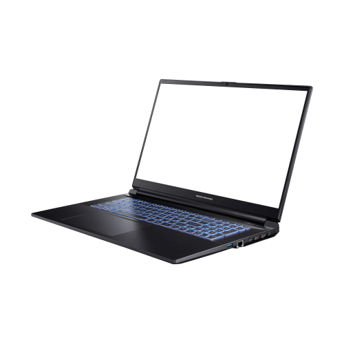 Продати Ноутбук Dream Machines G1650-17 (G1650-17UA91) Black за Trade-In у інтернет-магазині Телемарт - Київ, Дніпро, Україна фото