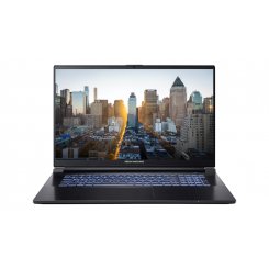 Ноутбук Dream Machines G1650-17 (G1650-17UA96) Black / 17.3″ (1920x1080, WVA) / Intel Core i7-13700H (3.7–5.0 ГГц), 14 ядер / NVIDIA GeForce GTX 1650 / 16 ГБ (DDR4) / 1024 ГБ (SSD) / Без ОС